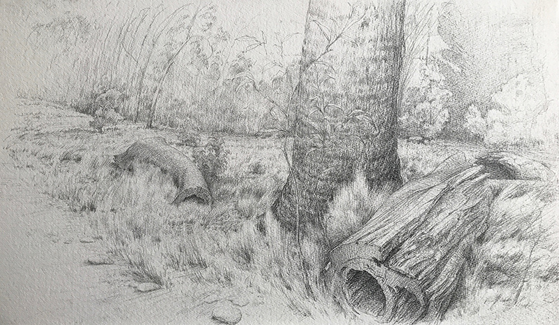 Study for Fallen Timber by Scott  Breton | Lethbridge Gallery